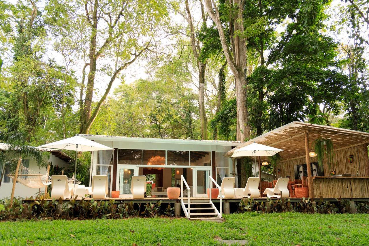 Gigi Brown Villa Frida Beachfront Puerto Viejo de Talamanca エクステリア 写真